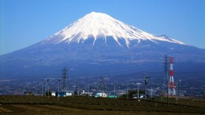 静岡市でおすすめのトランクルーム比較
