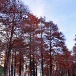 吹田市でおすすめのトランクルーム比較